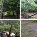 തൃശൂരിൽ മിന്നൽ ചുഴലി , വൻ നാശനഷ്ടം