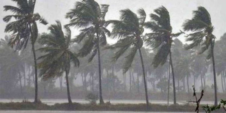 ഒറ്റപ്പെട്ട ശക്തമായ മഴയ്ക്ക് സാധ്യത; വിവിധ ജില്ലകളിൽ യെല്ലോ അലർട്ട് പ്രഖ്യാപിച്ചു