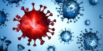 കൊറോണ വൈറസ് രൂപീകരണത്തിന്‍റെ മോഡല്‍ കണ്ടെത്തി ; ഇനി മരുന്നുകള്‍ ഫലപ്രദമാകും