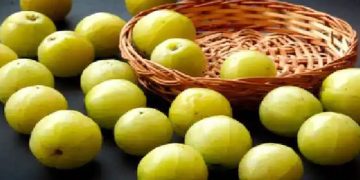 കരുത്തുള്ള മുടിയ്ക്ക് വേണം നെല്ലിക്ക ; ഉപയോ​ഗിക്കേണ്ട വിധം