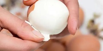 പുഴുങ്ങിയ മുട്ടയുടെ തോട് കളയാൻ ഈ മാര്‍ഗമൊന്ന് പരീക്ഷിച്ചുനോക്കൂ…