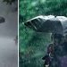 വീണ്ടും മഴ വരുന്നു; നാളെ നാല് ജില്ലകളില് ശക്തമായ മഴയ്ക്ക് സാധ്യത, യെല്ലോ അലേര്ട്ട്