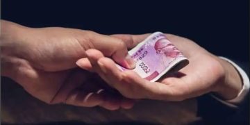 മരംമുറിക്കാൻ പാസിന് കൈക്കൂലി വാങ്ങി; വില്ലേജ് ഓഫീസിലെ സീനിയർ ക്ലർക്കിനെ വിജിലൻസ് കൈയ്യോടെ പിടികൂടി