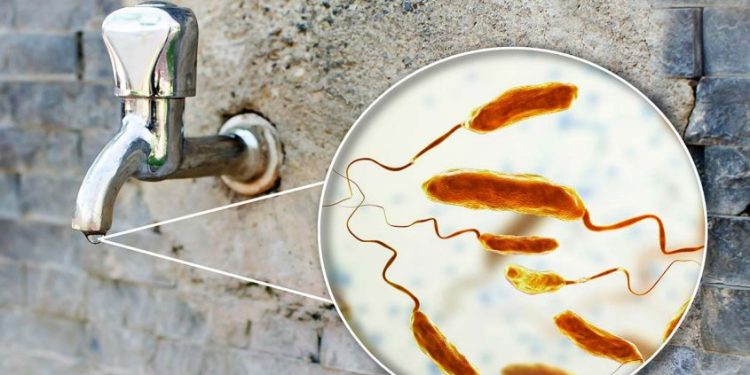 സമയത്തിന് ചികിത്സിച്ചില്ലെങ്കില് കോളറ മരണകാരണമാകും: അറിയാം ലക്ഷണങ്ങള്