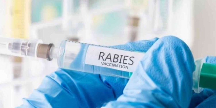 പരിശോധനാ സർട്ടിഫിക്കറ്റ് ലഭിച്ചു; കൂടുതൽ റേബീസ് വാക്സീനെത്തും