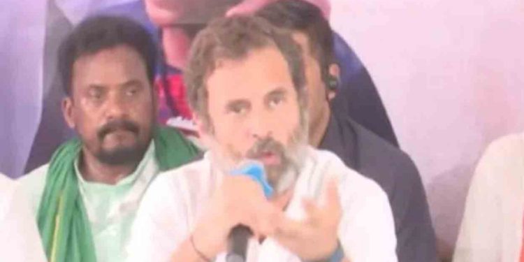 ‘എന്റെ റോൾ ഖർഗെജിയോട് ചോദിക്കൂ’: ഫലം വരും മുൻപേ രാഹുലിന്റെ പ്രഖ്യാപനം