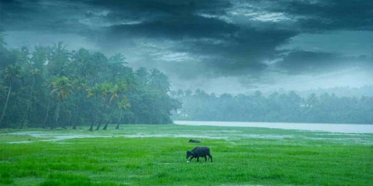 ബംഗാൾ ഉൾക്കടലിൽ ന്യൂനമർദ്ദം; ശനി, ഞായർ ദിവസങ്ങളിൽ കേരളത്തിൽ വ്യാപക മഴ സാധ്യത
