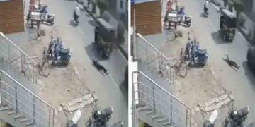 രക്ഷപ്പെട്ടത് തലനാരി​ഴയ്ക്ക് ; ലൈംഗികാതിക്രമത്തിൽ നിന്ന് രക്ഷപ്പെടാൻ ഓട്ടോറിക്ഷയിൽ നിന്ന് ചാടി 17കാരി