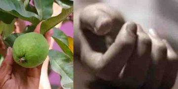 ഒരു പേരയ്ക്ക മോഷ്ടിച്ചെന്നാരോപിച്ച് ദളിത് യുവാവിനെ തല്ലിക്കൊന്നു; 2 പേര്‍ അറസ്റ്റില്‍