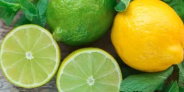 വിയർപ്പുനാറ്റമകറ്റാനും രക്തസമ്മർദ്ദം കുറയ്ക്കാനും; അറിയാം ചെറുനാരങ്ങയുടെ വലിയ ഗുണങ്ങള്‍…