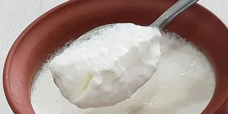 തൈര് കഴിച്ചാൽ ലഭിക്കും ഈ ഗുണങ്ങൾ