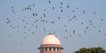 പട്ടയ ഭൂമി; ഹൈക്കോടതി ഉത്തരവിനെതിരായ ക്വാറി ഉടമകളുടെ അപ്പീൽ ഇന്ന് സുപ്രീംകോടതിയിൽ