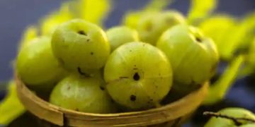 മുടികൊഴിച്ചിൽ കുറയ്ക്കാൻ നെല്ലിക്ക ഇങ്ങനെ ഉപയോ​ഗിക്കാം