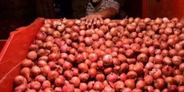 ഉള്ളിയുടെ വിലയിടിവ്: സർക്കാർ ഇടപെടണമെന്നാവശ്യപ്പെട്ട് മഹാരാഷ്ട്രയിൽ കർഷകരുടെ പ്രതിഷേധം