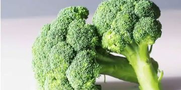 ബ്രൊക്കോളി കഴിച്ചാൽ ഈ രോ​ഗങ്ങൾ അകറ്റാം