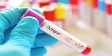 ഡെങ്കിപ്പനി ബാധിതര്‍ നിർബന്ധമായും കഴിക്കേണ്ട ചില ഭക്ഷണങ്ങൾ ഏതൊക്കെ?