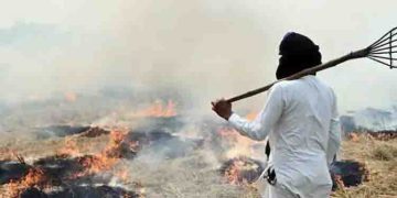 പഞ്ചാബിൽ വൈക്കോൽ കത്തിച്ചതിന് ഇന്നലെ മാത്രം രജിസ്റ്റർ ചെയ്തത് 3634 കേസുകൾ, ശ്വാസംമുട്ടി ദില്ലി