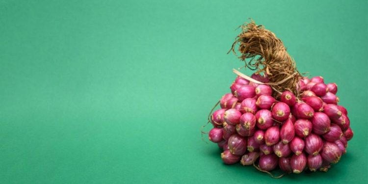 താരനും മുടി കൊഴിച്ചിലും തടയാൻ ഉള്ളി