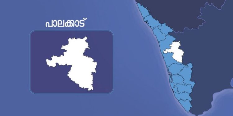 മലമ്പുഴയിൽ വനത്തിനുള്ളിൽ കത്തിക്കരിഞ്ഞ നിലയിൽ മൃതദേഹം; 4 ദിവസത്തിലേറെ പഴക്കം