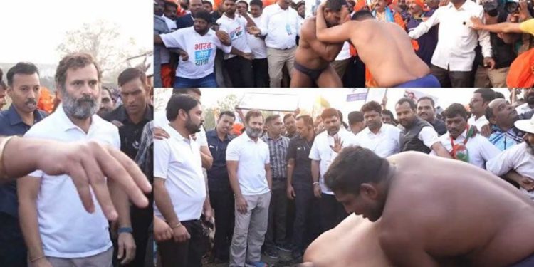 യാത്രയ്ക്കിടെ 2 മല്ലൻമാർ; പോരാട്ടം കണ്ടാസ്വദിച്ച് രാഹുൽ– വിഡിയോ