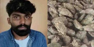 വോൾവോ ബസിൽ യാത്ര ചെയ്ത യുവാവിൽ നിന്ന് പിടിച്ചെടുത്തത് നാല് കിലോ കഞ്ചാവ്