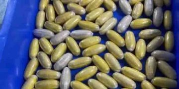 ദില്ലി വിമാനത്താവളത്തില്‍ വന്‍ ലഹരിമരുന്ന് വേട്ട; യുവതിയില്‍ നിന്ന് കണ്ടെത്തിയത് 15.36 കോടിയുടെ കൊക്കൈയ്ന്‍