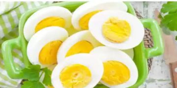 ദിവസവും ഒരു മുട്ട കഴിക്കണമെന്ന് പറയുന്നതിന്റെ കാരണങ്ങൾ ഇതാണ്