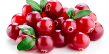 വൃക്കകളുടെ ആരോഗ്യത്തിന് കഴിക്കാം ഈ ഭക്ഷണവിഭവങ്ങള്‍