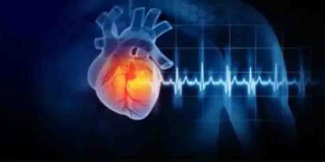 ഇക്കാര്യങ്ങൾ ശ്രദ്ധിച്ചില്ലെങ്കിൽ ഹൃദയാരോഗ്യം അപകടത്തിലാകാം