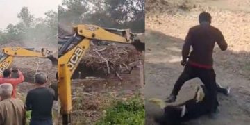 വിവാഹംകഴിക്കണമെന്ന് കാമുകി, പിന്നാലെ മർദനം; യുവാവിന്റെ വീട് പൊളിച്ചുനീക്കി സർക്കാർ