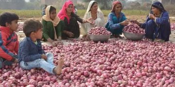 21 മാസത്തെ താഴ്ന്ന നിരക്കിൽ മൊത്ത വില പണപ്പെരുപ്പം; ഭക്ഷ്യവില കുറയുന്നു