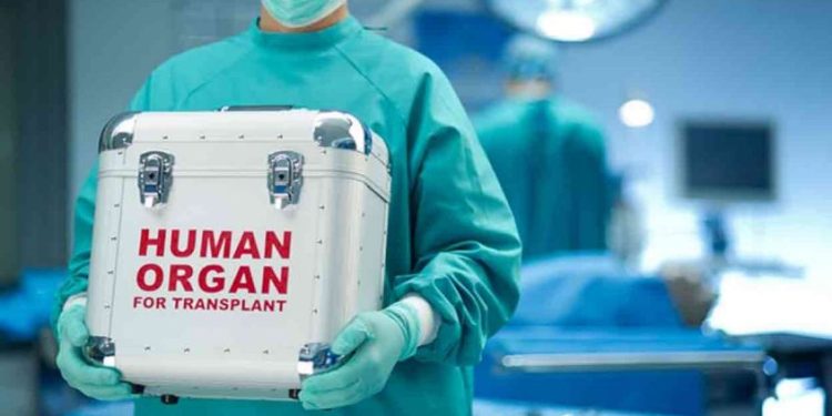 ഡോക്ടർമാർക്ക് നൂലാമാല; മൃതസഞ്ജീവനി അവയവമാറ്റ ശസ്ത്രക്രിയകൾ നിലച്ച് കേരളം