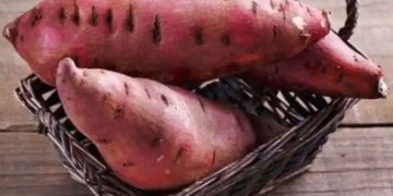 പ്രമേഹരോഗികൾക്ക് മധുരക്കിഴങ്ങ് കഴിക്കാമോ?