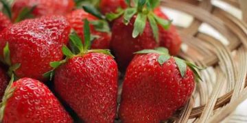 ചര്‍മ്മം കണ്ടാല്‍ പ്രായം തോന്നിക്കുന്നുണ്ടോ? മഞ്ഞുകാലത്ത് ഡയറ്റില്‍ ഉള്‍പ്പെടുത്താം ഈ ഭക്ഷണങ്ങള്‍…