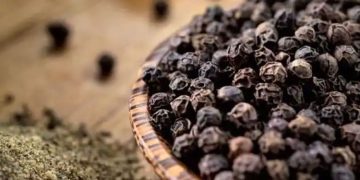 കുരുമുളകിന്റെ ഈ ആരോ​ഗ്യ​ഗുണങ്ങൾ അറിയാതെ പോകരുത്