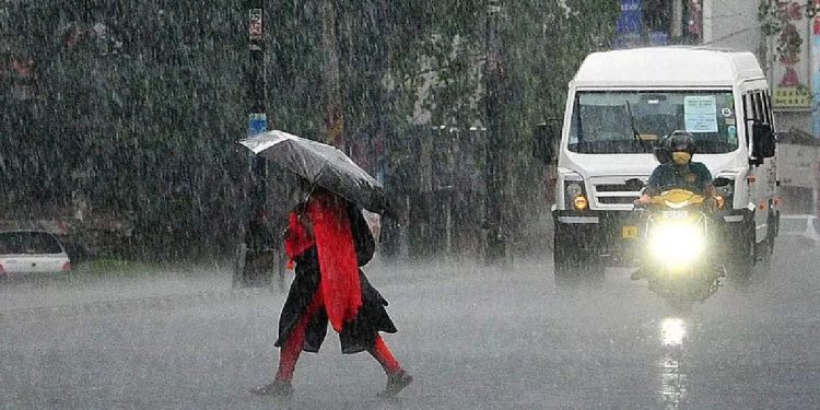 സംസ്ഥാനത്ത് ശക്തമായ മഴ തുടരും: ഏഴ് ജില്ലകളിലും ലക്ഷദ്വീപിലും യെല്ലോ അലർട്ട്