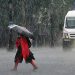 സംസ്ഥാനത്ത് ശക്തമായ മഴ തുടരും: ഏഴ് ജില്ലകളിലും ലക്ഷദ്വീപിലും യെല്ലോ അലർട്ട്