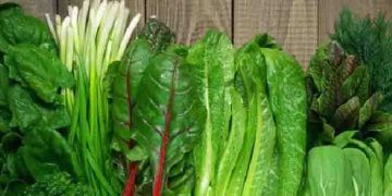 ദിവസവും ഇലക്കറികൾ കഴിക്കണമെന്ന് പറയുന്നതിന്റെ കാരണം