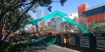 ബംഗളൂരുവിൽ നിർമ്മാണത്തിലിരുന്ന മെട്രോ തൂൺ തകർന്നു വീണു