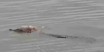 കളിക്കുന്നതിനിടയിൽ കാണാതായി, നാലു വയസ്സുകാരന്റെ ജഡം തിരികെ എത്തിച്ച് മുതല