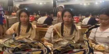 റെസ്റ്റോറന്റിലെ തീൻമേശയിൽ പെരുമ്പാമ്പ്, വൈറലായി വീഡിയോ, സത്യാവസ്ഥ അന്വേഷിച്ച് ചെന്നപ്പോൾ…