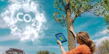 പ്രതിവര്‍ഷം 200 കോടി ടണ്‍ കാര്‍ബണ്‍ ഡൈ ഓക്സൈഡ് അന്തരീക്ഷത്തില്‍ നിന്നും നീക്കം ചെയ്യുന്നതായി പഠനം