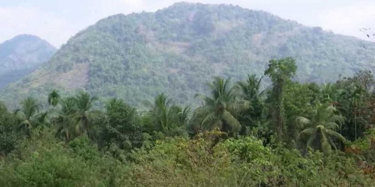 ബഫര്സോണ്: സമയപരിധി ശനിയാഴ്ച തീരും; ഇതുവരെ 54,607 പരാതികൾ, പരിഹരിച്ചത് 17,054