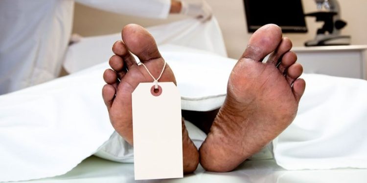 നാദാപുരത്ത് കാട്ടുതേനീച്ചയുടെ കുത്തേറ്റ് ഒരാൾ മരിച്ചു; 3 പേർക്ക് പരുക്ക്