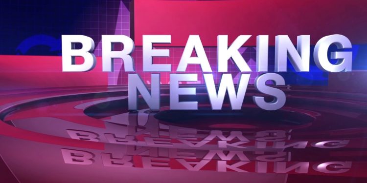 ചാട്ടേർഡ് വിമാനം രാജസ്ഥാനിൽ തകർന്നു വീണു