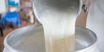 സംസ്ഥാനത്ത് ക്ഷീരവികസന വകുപ്പിന്‍റെ നിയന്ത്രണത്തിലുള്ള ചെക്ക്പോസ്റ്റുകളിൽ  പാല്‍ പരിശോധന കര്‍ശനമാക്കി