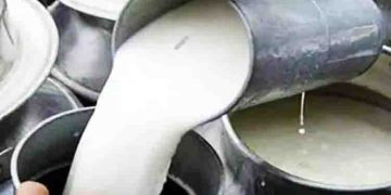 ആര്യങ്കാവില്‍ പിടികൂടിയ 15300 ലിറ്റര്‍ പാലില്‍  ഹൈഡ്രജൻ പെറോക്സൈഡ് കണ്ടെത്താനായില്ല