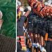 ‘രാജ്യസുരക്ഷയില്‍ കരസേനയുടെ സംഭാവന സമാനതകളില്ലാത്തത്’, കരസേന ദിനത്തില്‍ പ്രധാനമന്ത്രി