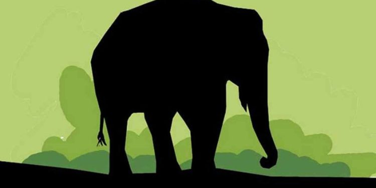 പിതാവിനെ സംസ്കരിക്കാൻ കുഴിയെടുക്കുന്നതിനിടെ കാട്ടാനയുടെ ആക്രമണം; സഹോദരങ്ങള്‍ക്ക് പരുക്ക്