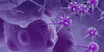 കാൻസറിനെ കാൻസർ കൊണ്ട് തടുക്കാം; അർബുദ ചികിത്സക്ക് വാക്സിൻ ഫലപ്രദമെന്ന് കണ്ടെത്തി ഗവേഷകർ